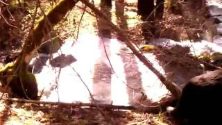 Bodhi and Me Chillen on Rattlesnake Creek - May 9, 2011 5:36 PM