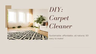 DIY Carpet Cleaner (Non-toxic, easy to make, costs pennies, sustainable!)