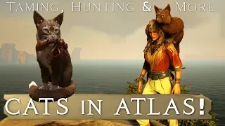 CATS in ATLAS! Taming, Feeding, Hunting & More!