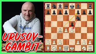 Das Urusov-Gambit || Ist das Schach, oder kann das weg?