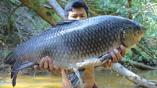 Grilled Two Biggest Fish w/ Mango Sauce Recipe Eating Delicious in forest