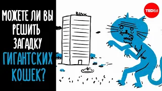 Можете ли вы решить загадку гигантских кошек? - Дэн Финкель [TED-Ed на русском]