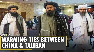 Taliban seeks support of China for expanding footprint in Afghanistan | Wang Yi |Latest English News