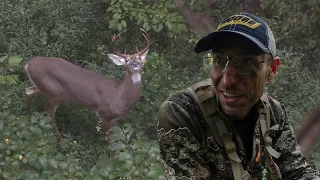 DEER DOWN! Early Season Bowhunting in Kentucky