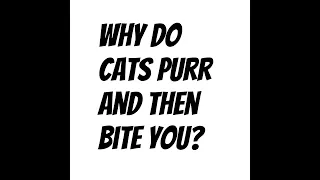 Why do cats purr and then bite you?