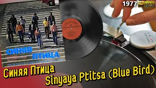 Синяя Птица, Sinyaya Ptitsa, 1977 ВСГ Первое издание, Vinyl video 4K, 24bit/96kHz