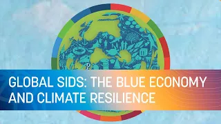 COP27 | Global Small Island Developing States: The Blue Economy and Climate Resilience