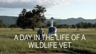 EPISODE 3 - I spend the day with a wildlife vet. Episode 3 of Inward Journey