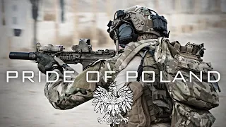 Polish Armed Forces 2023 - Wojsko Polskie 2023 | Siły Zbrojne Rzeczypospolitej Polskiej | Military |