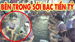 Ai bảo kê SỚI BẠC TIỀN TỶ giữa rừng???