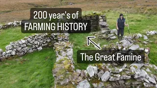 Irish Farmimg history, 8 generations. Famine #sheep #cows #lambs #shepherd #farm #farmlife #animal
