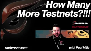 How Many More RTM Testnets?!! Paul Mills Answers