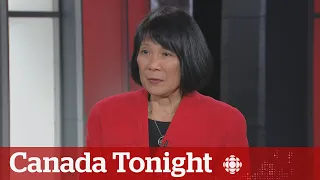 A car was stolen every 40 minutes in Toronto in 2023 | Canada Tonight