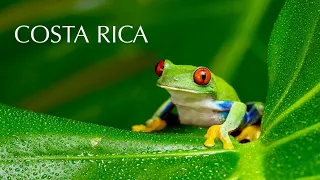 COSTA RICA 4K | Beaches, jungle, wildlife & volcanos