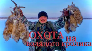 Охота на водяного кролика Якутия