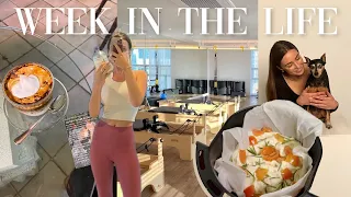 WEEK IN MY LIFE | morning routines, photoshoot, baking bread + closet makeover!