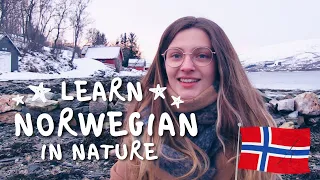 How to say bigger and smaller in Norwegian + sea vocabulary