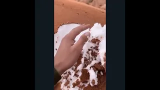Выпал Снег в Саудовской Аравии.