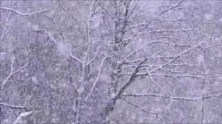 Снег, падает снег.  Video Of Snowfall