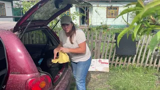 ВПЕРШЕ ВІДКРИЛА ПАРНИК😬ПРИЙДЕТЬСЯ КУПЛЯТИ РОЗСАДУ😭ПОМИЛА МАШИНУ🚗ЗАЛІЗЛА В КВІТНИК🌸ЩО ВИРОСЛО В ПАРНИ