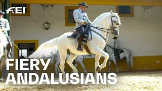 Something for the bucket list: The 👑 Andalusian School of Equestrian Art |RIDE presented by Longines