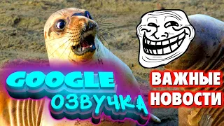 СМЕШНАЯ GOOGLE ОЗВУЧКА / ГУГЛ ОЗВУЧКА / СМЕШНАЯ ОЗВУЧКА ЖИВОТНЫХ РОБОТОВ / ПРИКОЛЫ / РЖАЧ #19