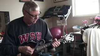 Texas Gales -  Mandolin  -  Dave Herzog