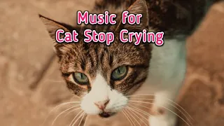 How to Make My Cat Stop Crying? 15 Mint Relaxing Music for Cat and Dogs, Helps Depression #cats