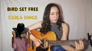 Bird Set Free - Sia cover by Carla