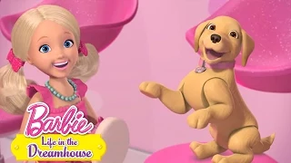 Episódio 56: O Pet Shop da Chelsea |  BARBIE LIFE IN THE DREAMHOUSE