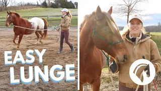 HOW TO TEACH A HORSE TO LUNGE 🐴