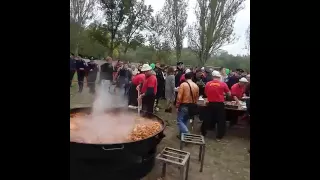 Покровская ярмарка в Запорожье. Ставят рекорд Украины.