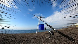 釣り最高の瞬間映像