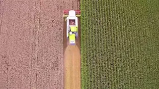 Harvest 2018 | drone video of a german combine harvester