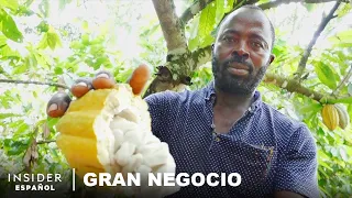 Por qué Ghana no puede hacer chocolate si es productor de cacao | Gran negocio
