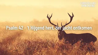 Psalm 42 - 't Hijgend hert, der jacht ontkomen