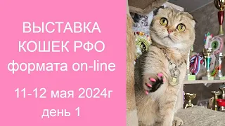 8-я выставка кошек эко-системы РФО 11-12 мая 2024г День 1