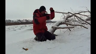 ЭТО КРОКОДИЛ!!! ТОЛЬКО НЕ ОТОРВИ МОНСТР!!!! Трофейная рыбалка по первому льду! ШОК!