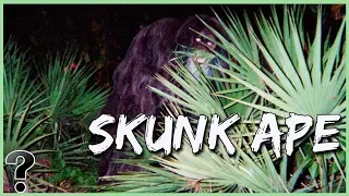 What If The Skunk Ape Was Real?