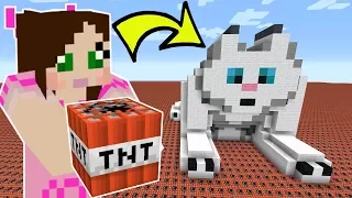 HOW MUCH TNT TO EXPLODE CLOUD THE CAT?!?
