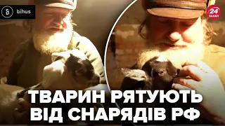 💔Ці кадри до мурах! От як рятують тварин від обстрілів у прифронтових Оріхові й Гуляйполі @BIHUSinfo