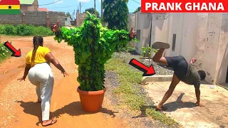 😂😂😂SCATTER IN TOWN! Classic Prank Ghana Throwback. Bushman | Gorilla | Angry Dog Compilations.