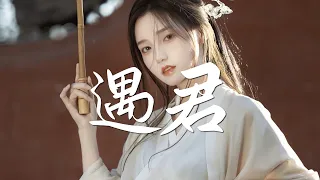 等什么君(邓寓君) - 遇君【古风推荐】『动态歌词 / 完整高清音质 一首超好听的古风歌曲』Deng Shen Me Jun(Deng Yu Jun) - Yu Jun