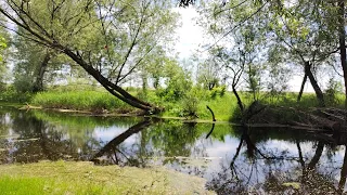 Встреча с детством