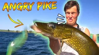 4 THINGS YOU MUST KNOW WHEN FISHING SUMMER PIKE (C&R) | Team Galant