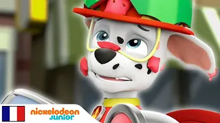 Paw Patrol: La Pat’ Patrouille | L'heure de la course | Nick Jr.