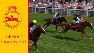 Absolute THRILLER! STRADIVARIUS just denied again by KYPRIOS in the 2022 Al Shaqab Goodwood Cup