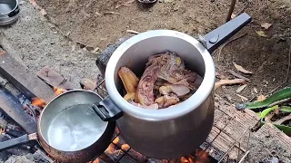 Galinha caipira na roça.