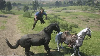 RDR2-The Real Trick to Catch a Missouri Fox Trotter (Photographer Mission Method)