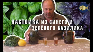 Настойка из синего и зелёного базилика